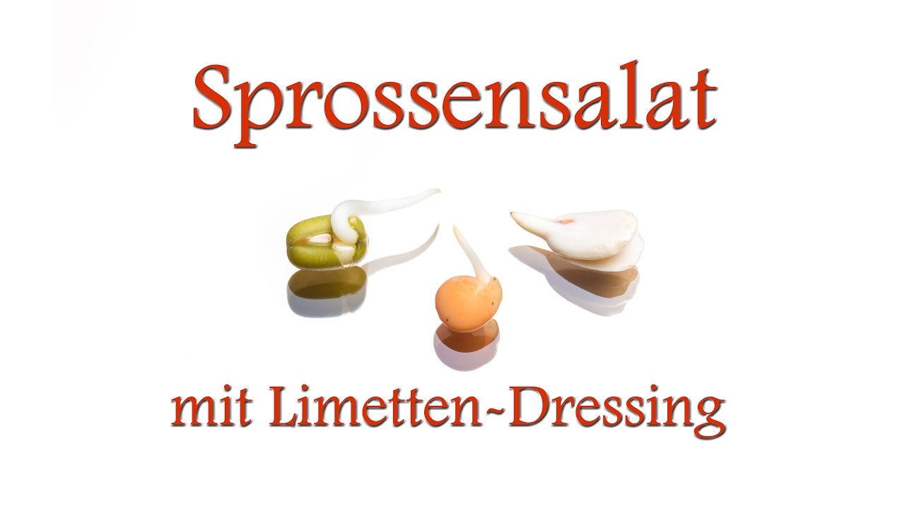 Sprossensalat aus Mungbohnen, Linsen und Sonnenblumenkernen