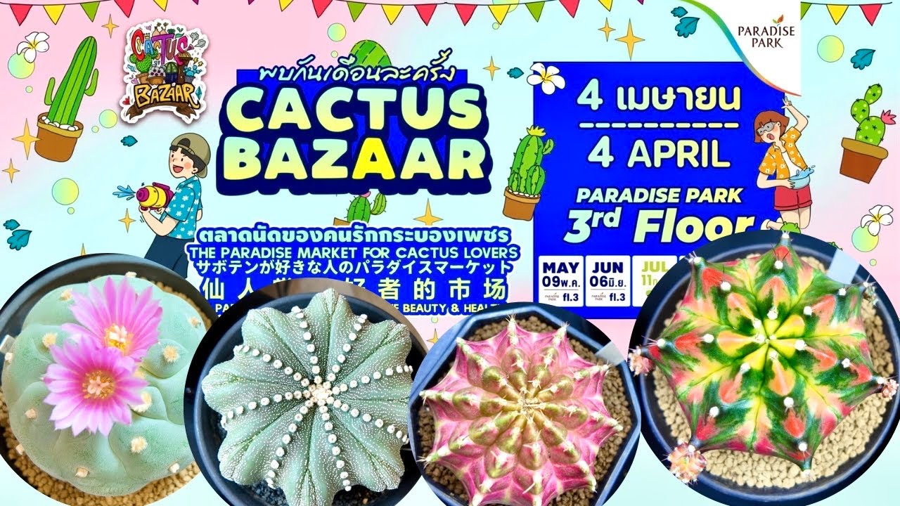 Tour Cactus Fair 🌵✨ Cactus Bazaar | 4 Apr 2026 | A lot of beautiful cactus for sale🎊