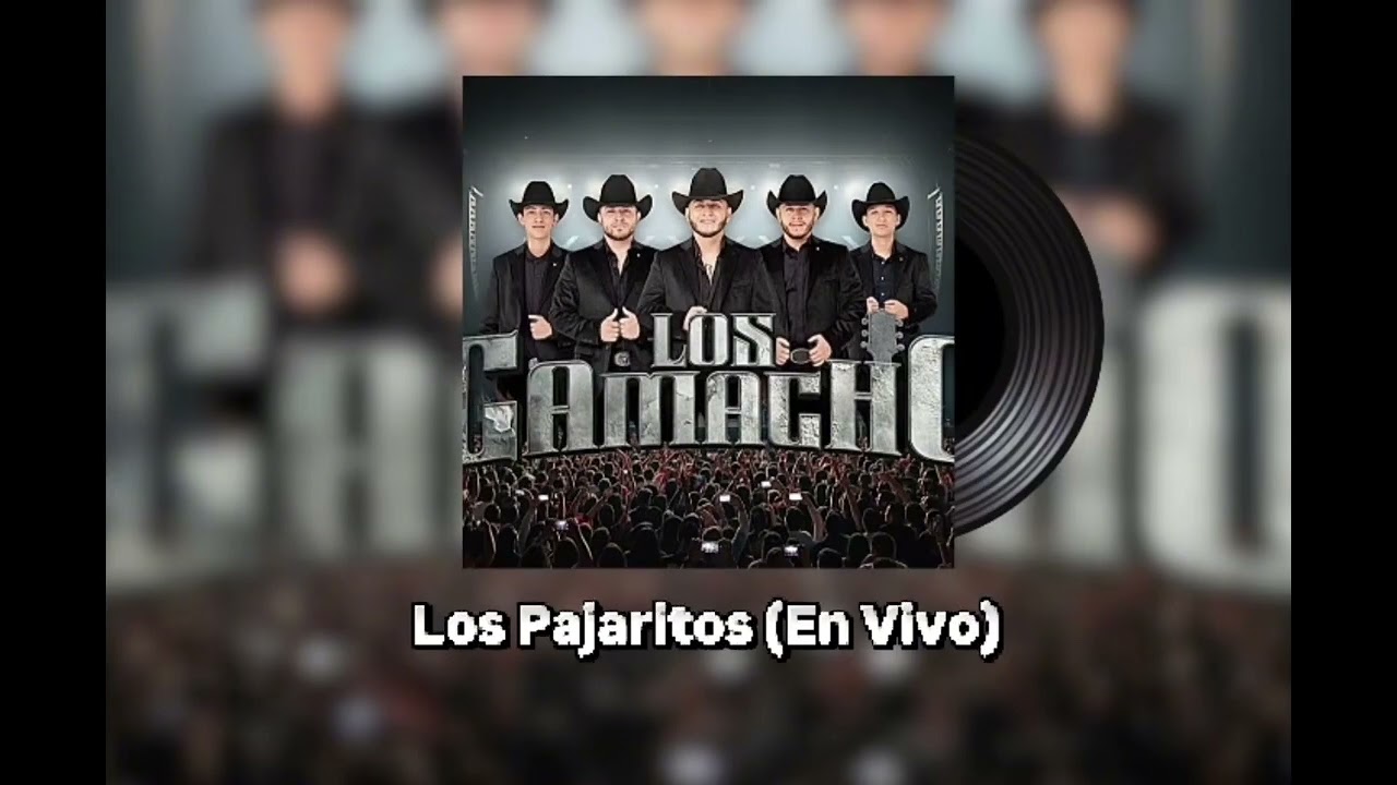 Los Pajaritos (tribal) - Los Camacho, En Vivo 