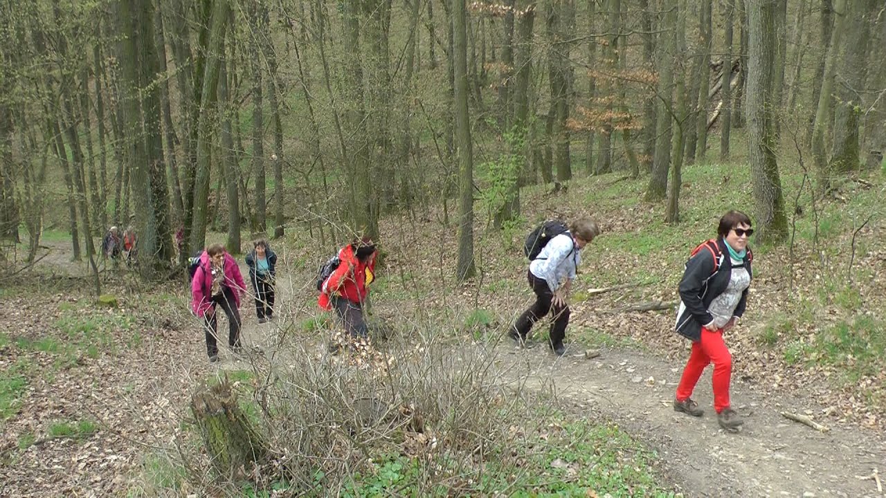 karlštejnsko, lomy velká a malá amerika a mexiko movie