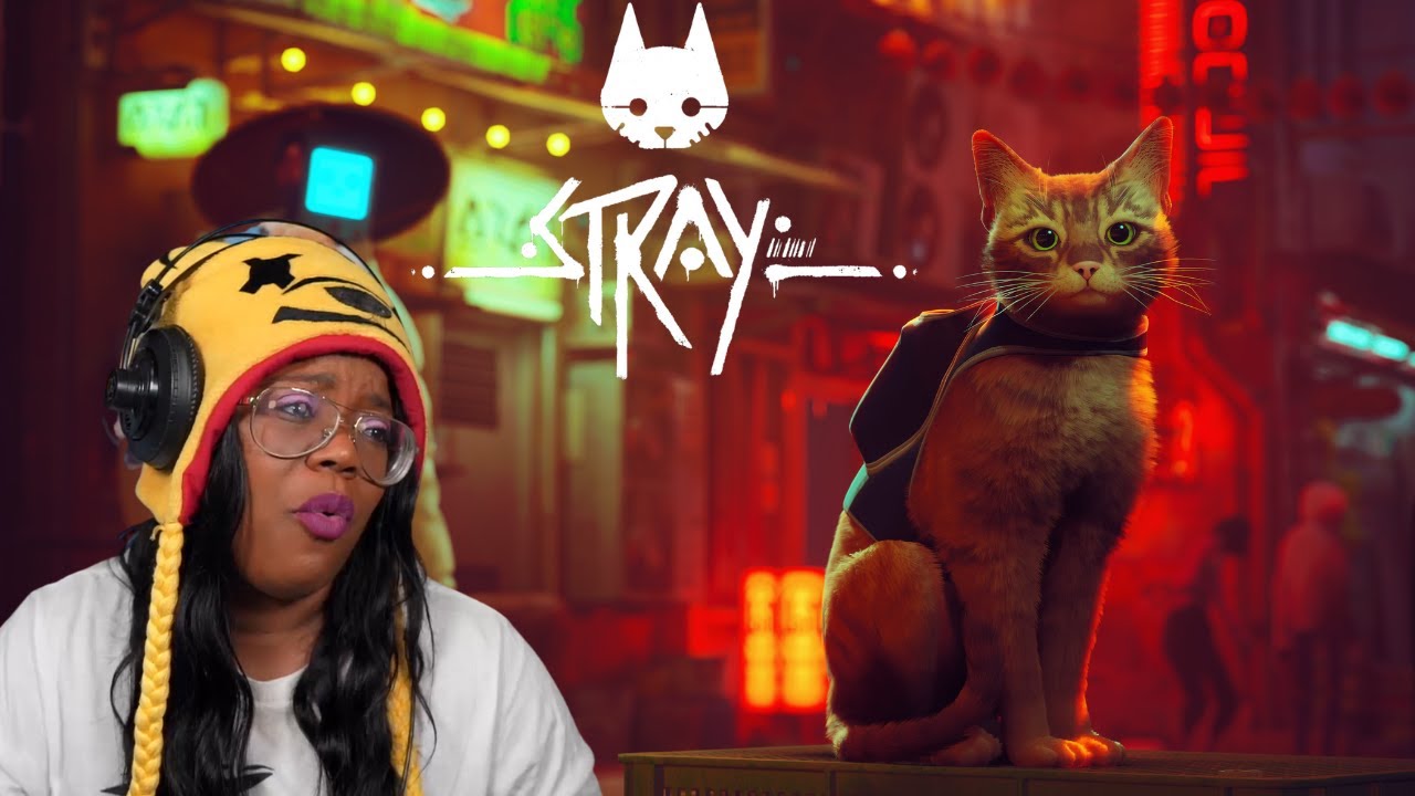 Late Night Cuddles | Stray Pt 1