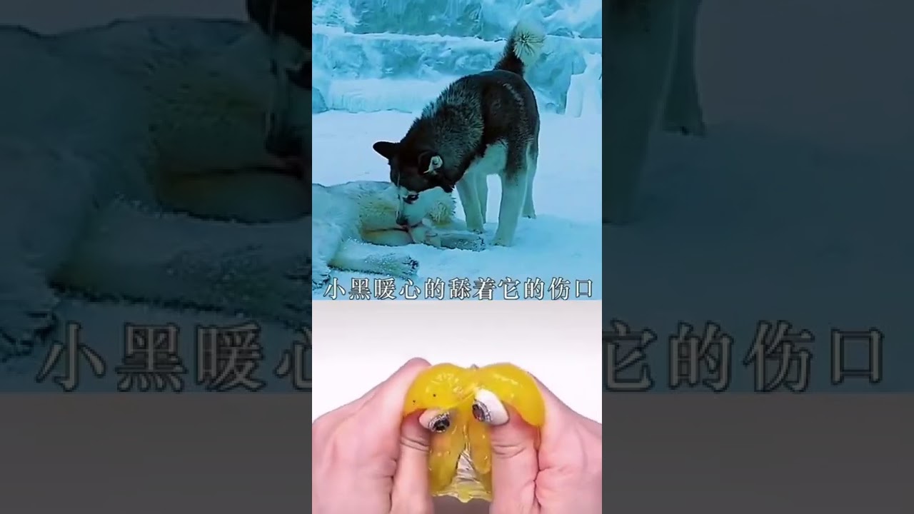 先更(*≧ω≦)好感人🥲#流量 #給我流量 #推薦