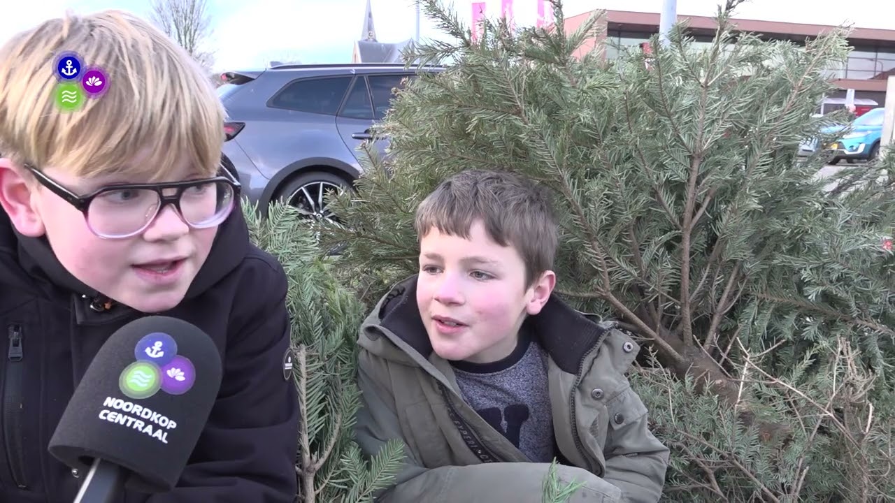 Kerstbomen weer het huis uit