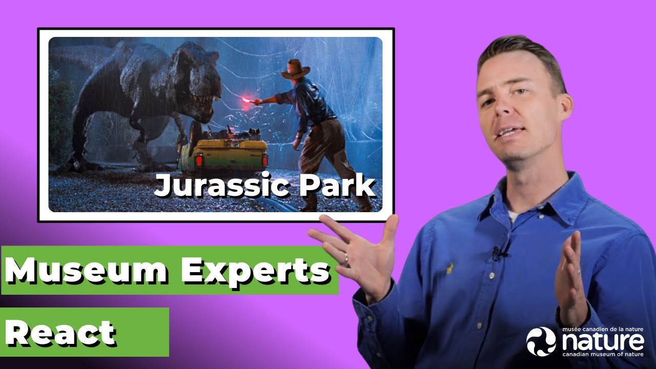 A Palaeontologist Reacts to the Jurassic Park Series