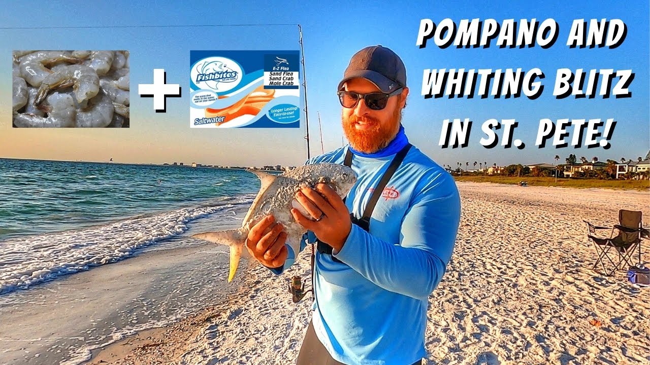 Surf Fishing For Pompano And Whiting In St. Petersburg, Florida