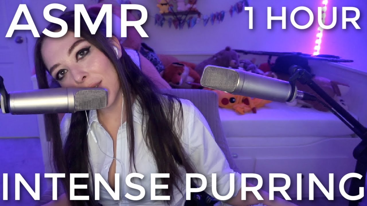 |ASMR| Intense Purring to Help You Fall Asleep 💤  (1 Hour)