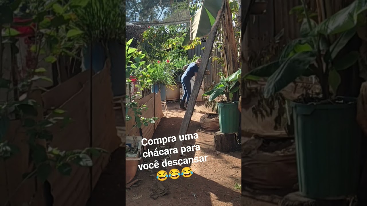 Vida na ro&ccedil;a #diygarden  #shorts #beautifulnature #gardening #naturelife