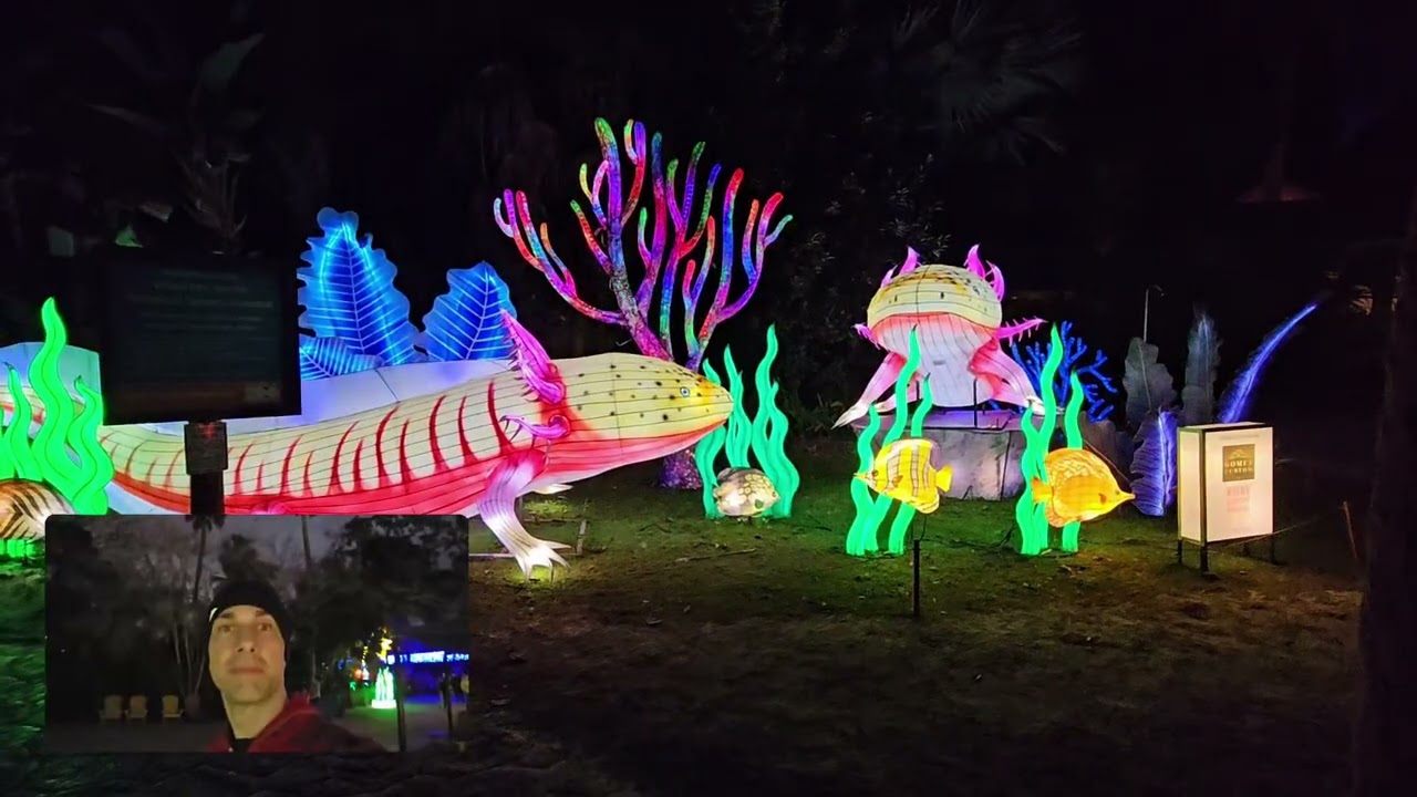 Amazing, Asian Lantern Festival: Into the Wild: Sensory Friendly Night, Highlights 2025 | Real Sound