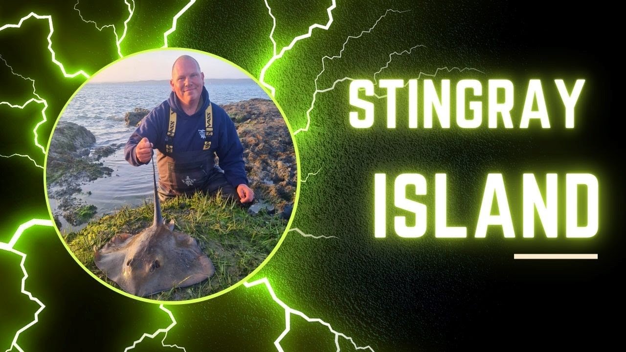 Stingray Island
