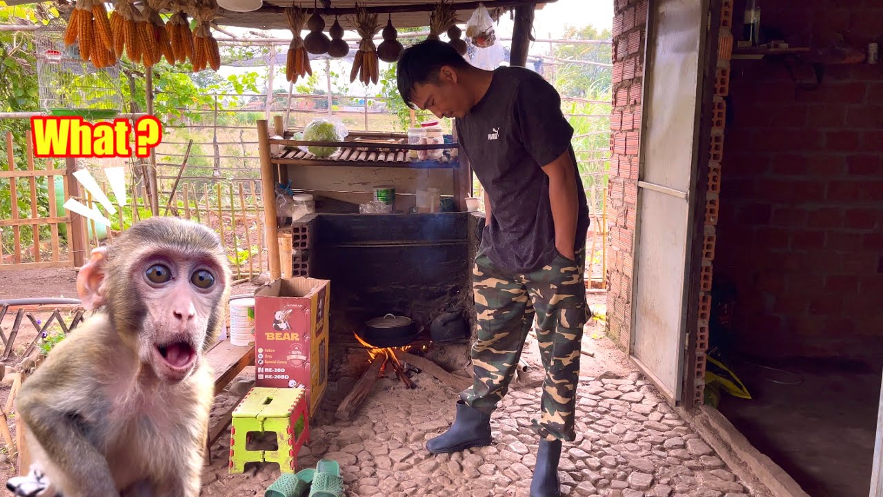 BiBi felt confused and laughed when he first saw Dad wearing a new outfit