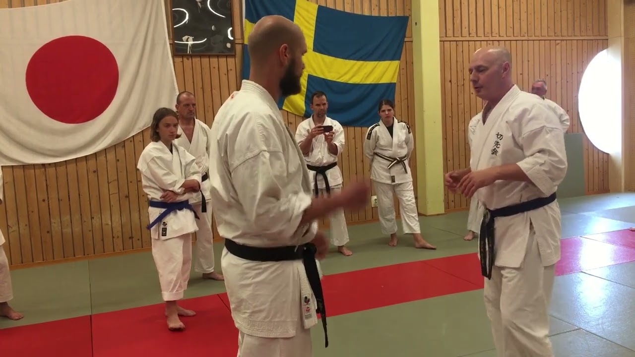 @DonCameKarateForLife age uke and gedan barai