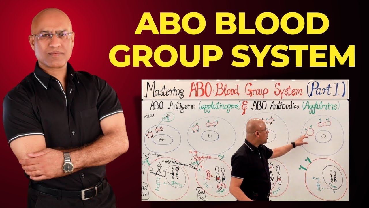 ABO Blood Group System | Hematology | Dr Najeeb 👨‍⚕️