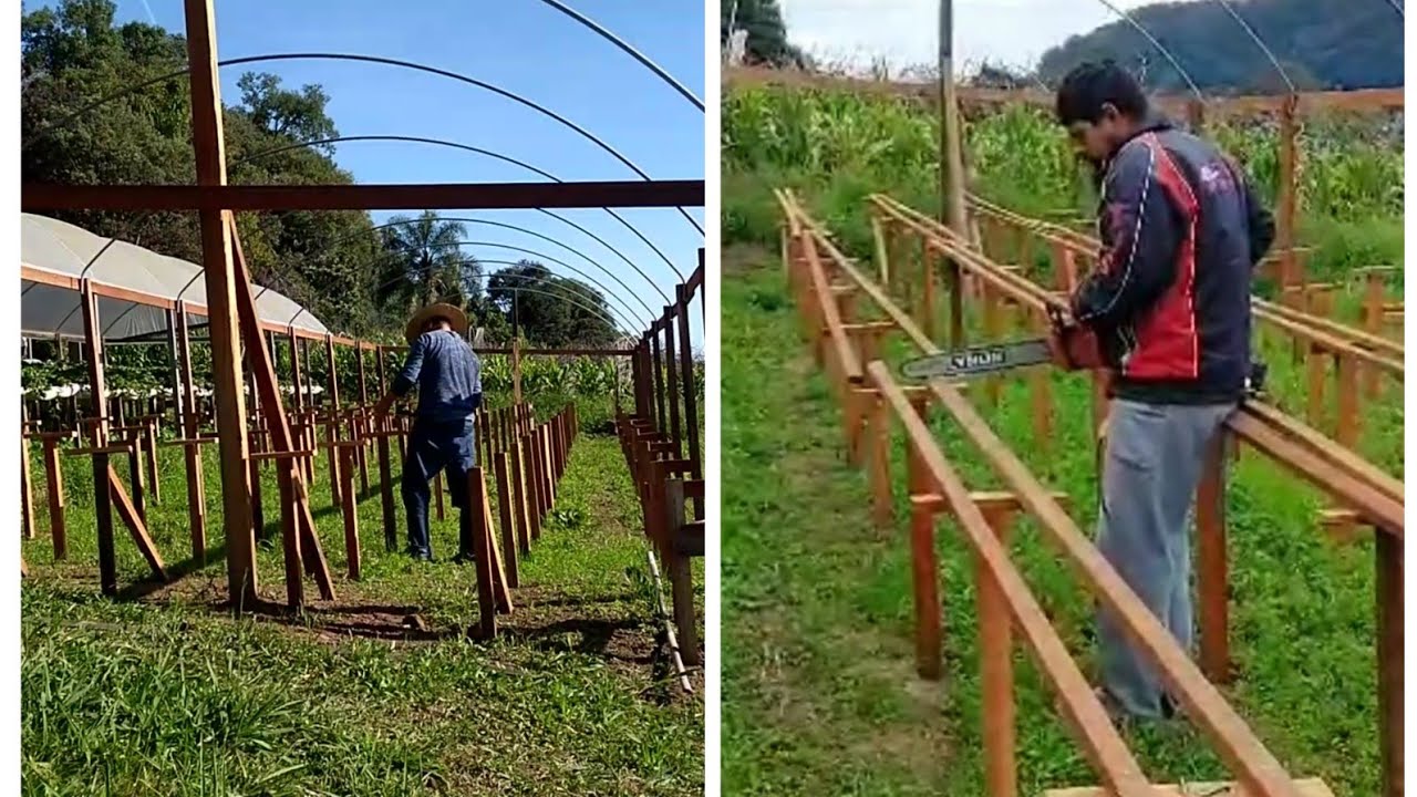 construindo estufa para morangos parte 2