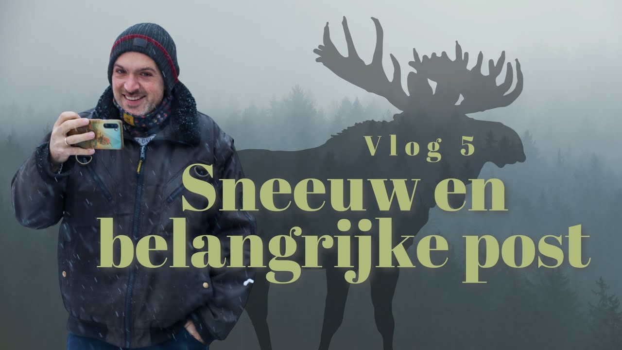 Emigreren naar Zweden - Sneeuw en belangrijke post (vlog 5)
