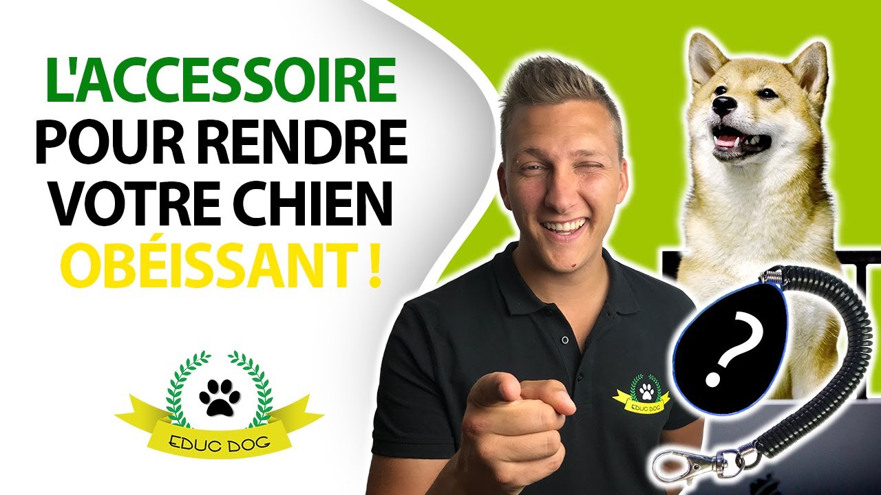 COMMENT UTILISER LE CLICKER TRAINING POUR ÉDUQUER SON CHIEN FACILEMENT ?