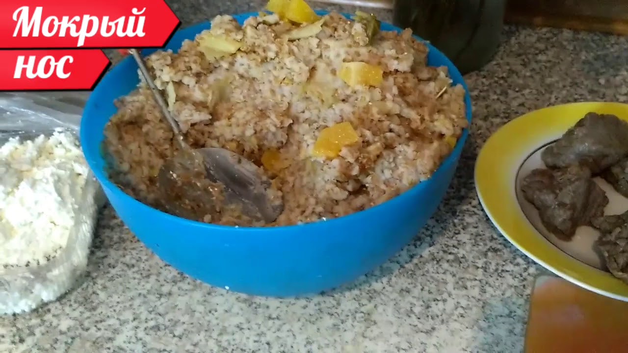 Еда для овчарки - БЮДЖЕТНЫЙ и ПОЛЕЗНЫЙ ужин. Мокрый нос