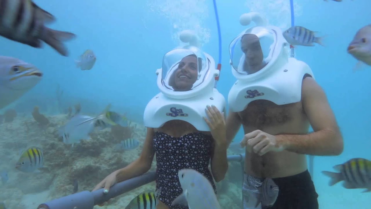 SEA TREK&reg;: CAMINATA SUBMARINA | Xcaret M&eacute;xico! Canc&uacute;n Eco Park