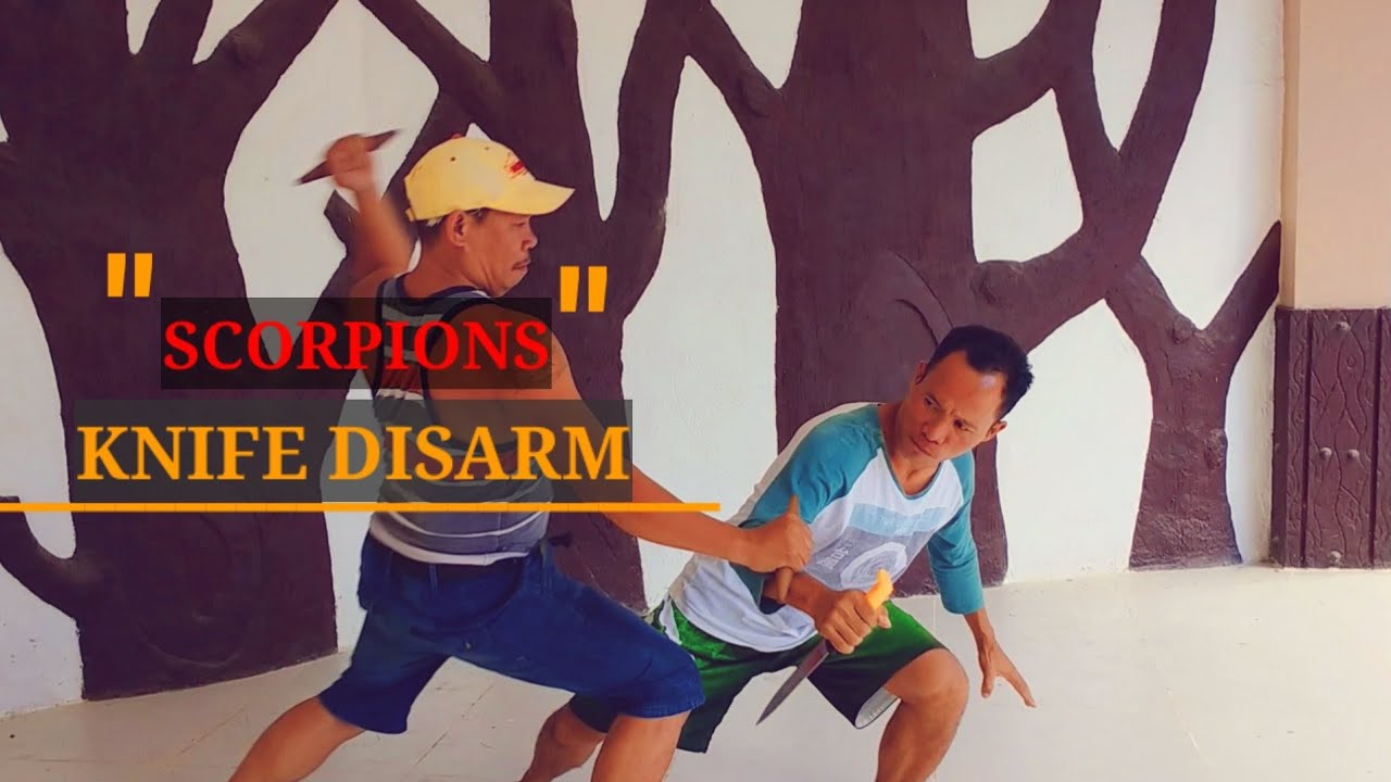 | SCORPIONS KNIFE DISARM | Practical Self Defense Against Knife |