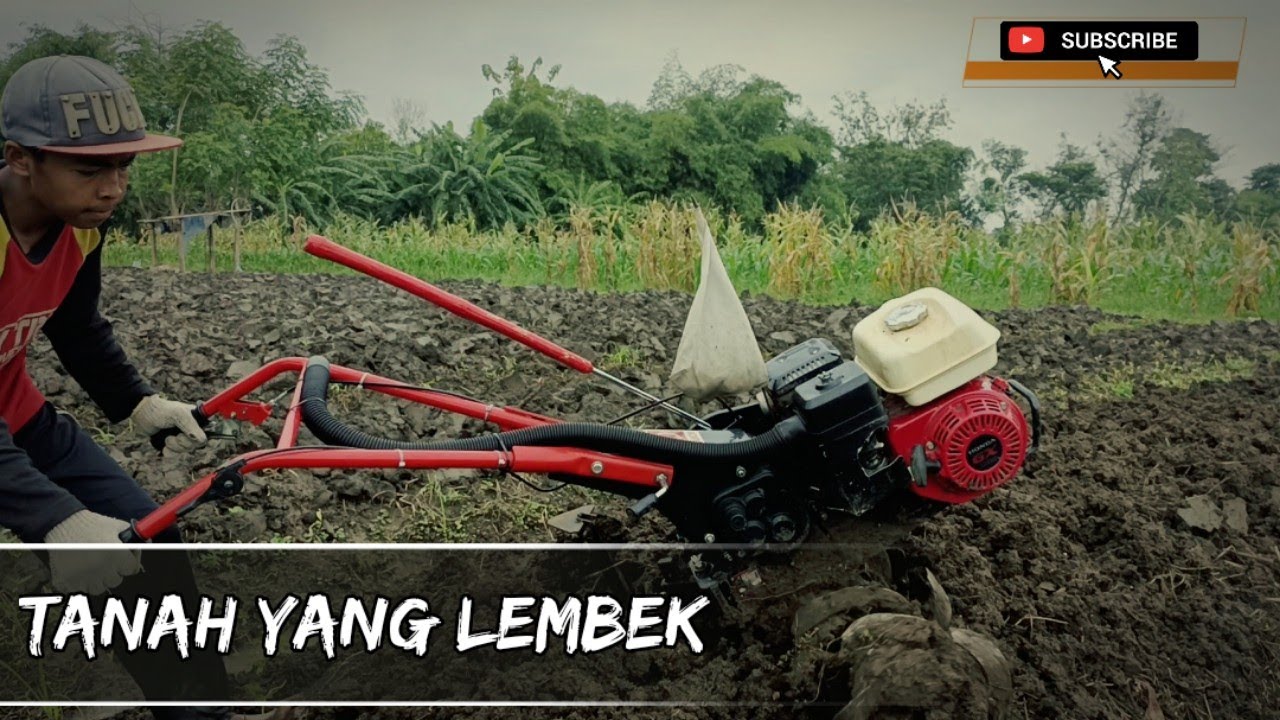 Di lahan yang basah quick cakar baja