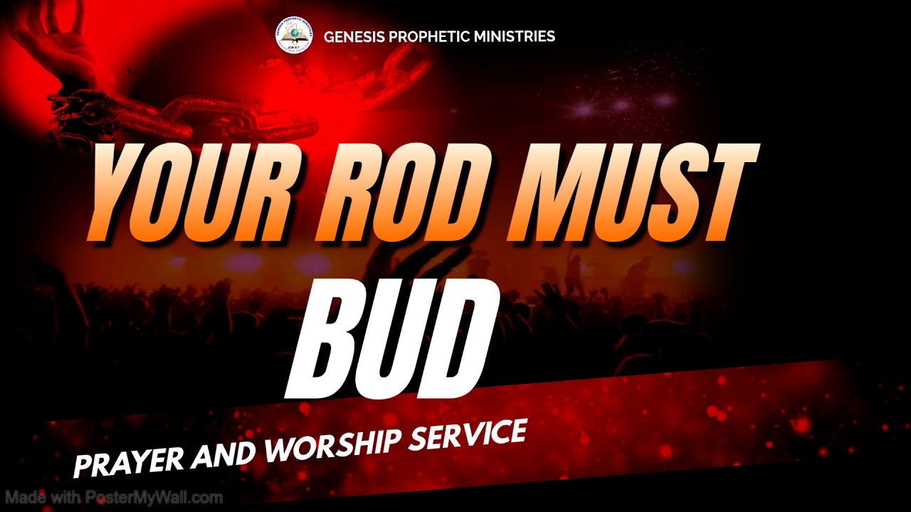 The Prayer And Worship Service 13/Feb/2026