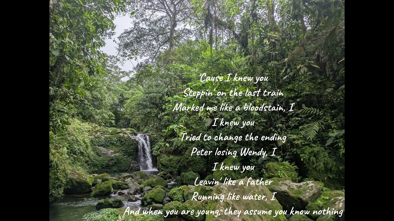 Cardigan by Taylor Swift- Cover by Niva Mae