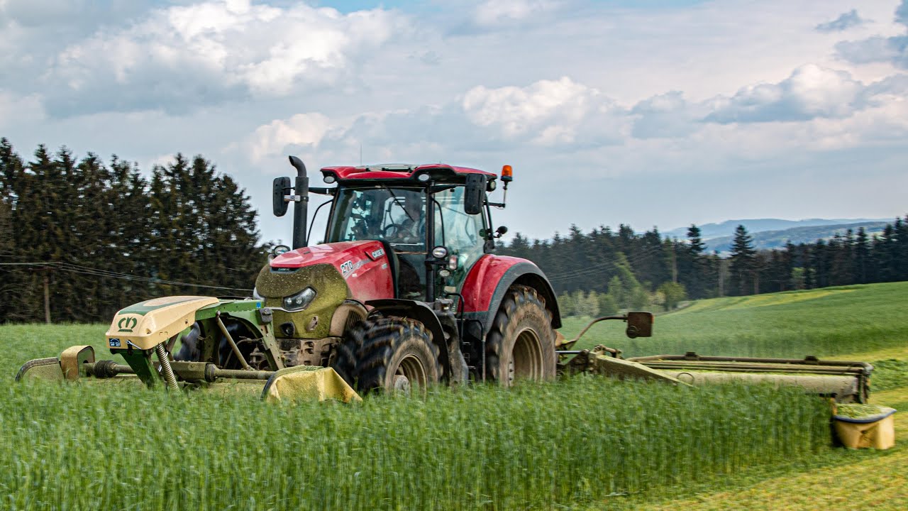 Case Optum 270 | Krone EasyCut B 1000 CV Collect | sečení žita