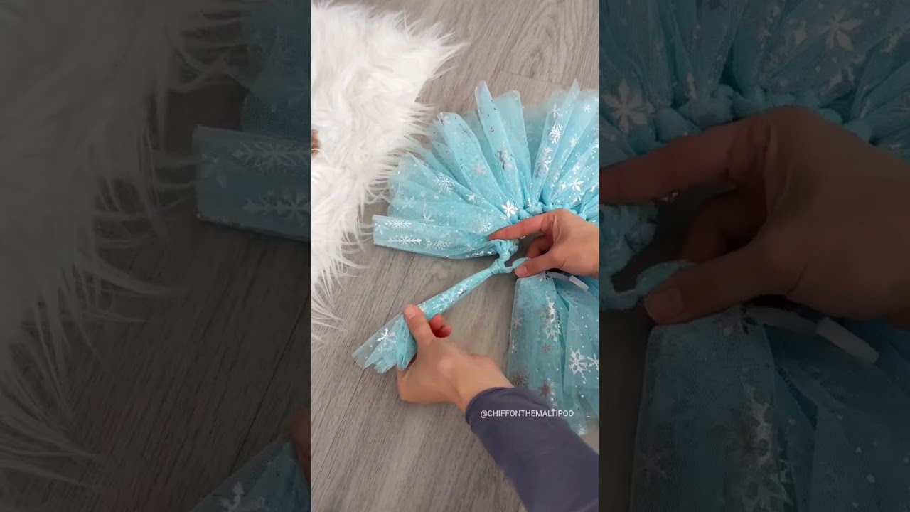 DIY sugar plum fairy dog ballerina outfit! #shorts #dog