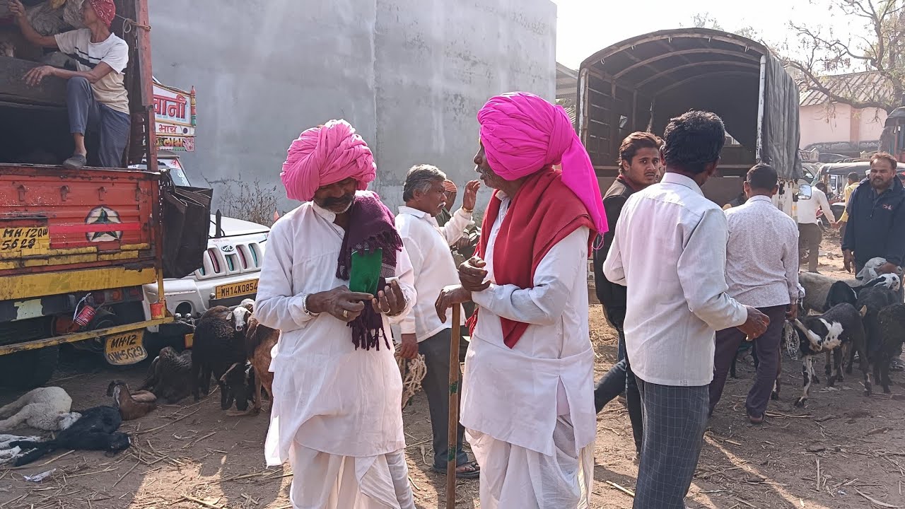 MS Agro Farm  is live! तळेगाव ढमढेरे live बाजार 