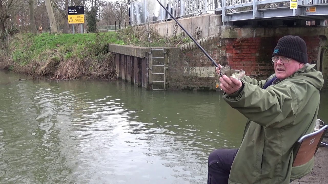 EASY FISHING. Perch fishing on New Year's Eve