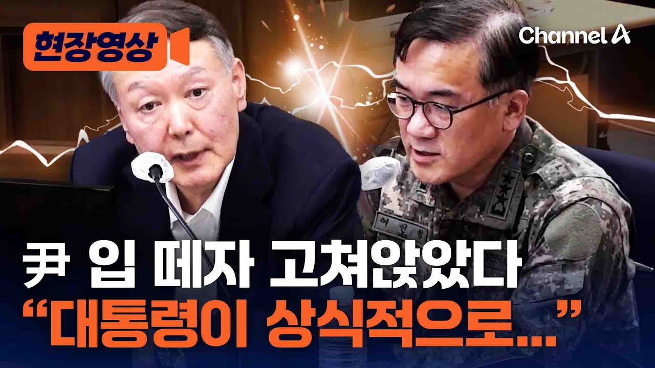 尹 입 떼자 고쳐앉은 여인형 