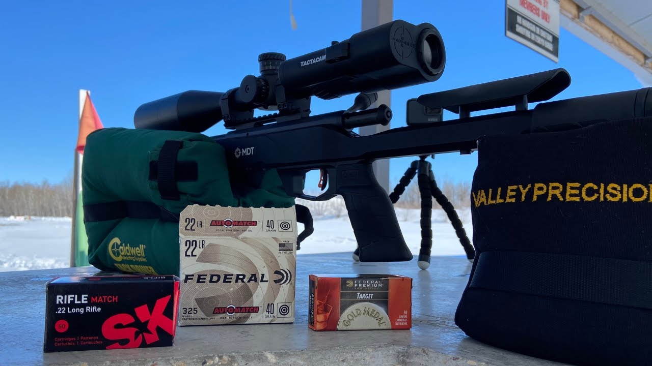 SAVAGE B22 Precision 22lr @ 100 Yards (SK Rifle Match Ammo Test)