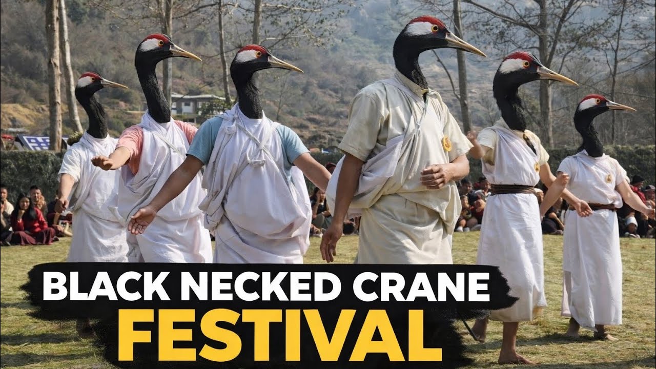 Black necked crane farewell festival day 2