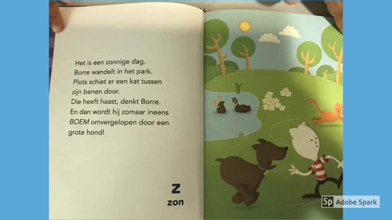 Borre redt een poesje