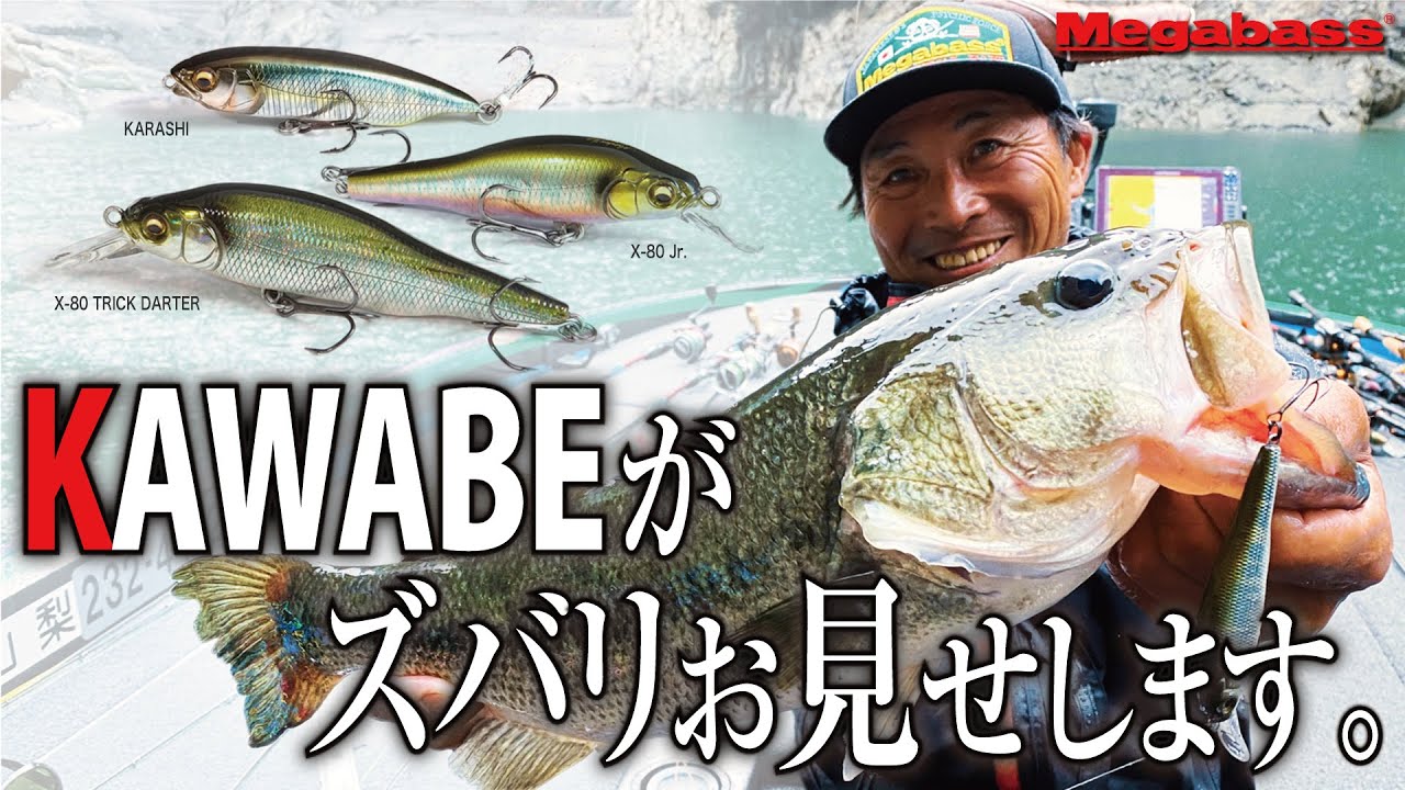 KAWABEがズバリお見せします。初夏のリザーバー攻略!! / 河辺裕和
