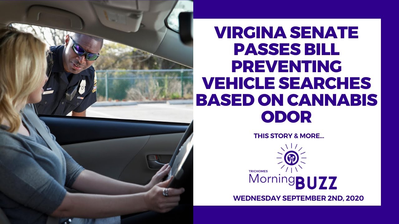 VA. SENATE PASSES BILL STOPPING VEHICLE SEARCHES BASED ON CANNABIS ODOR | TRICHOMES Morning Buzz