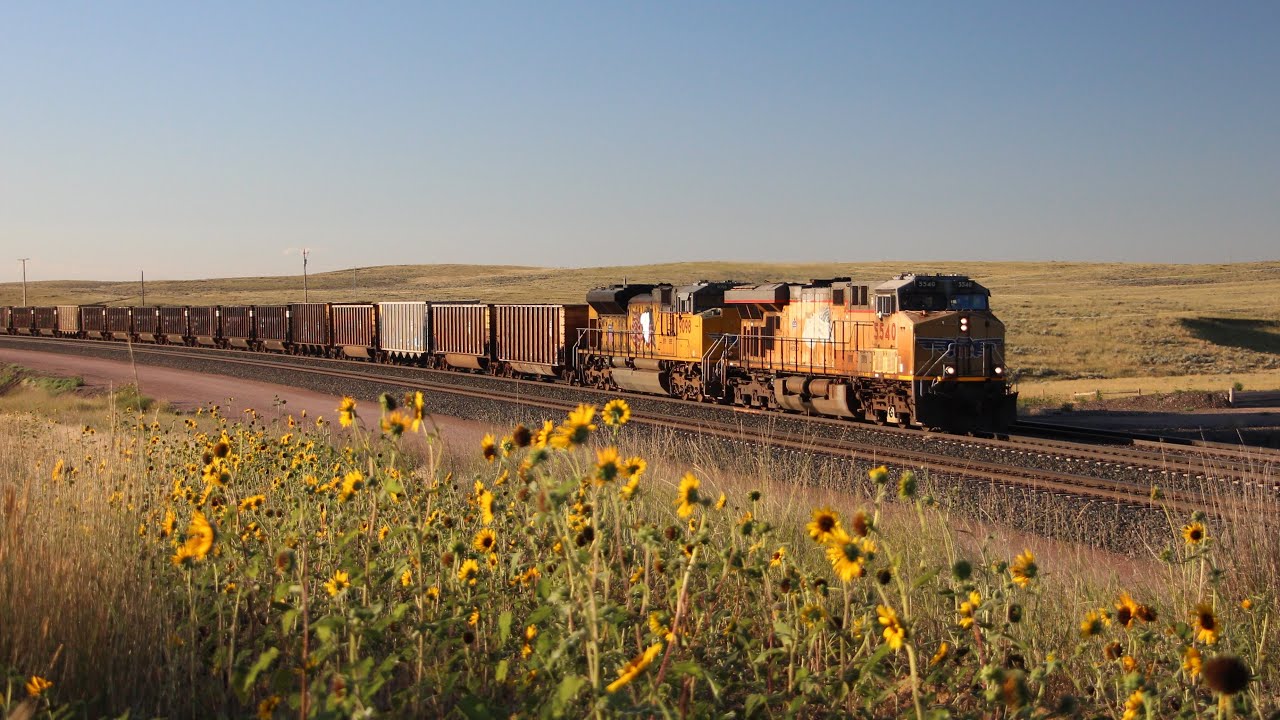 Union Pacific coal empties on the Orin Subdivision 