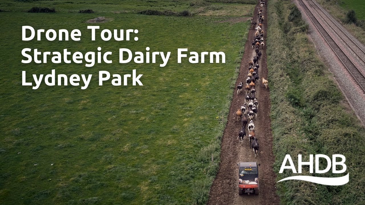 Drone Tour: Strategic Dairy Farm Lydney Park | AHDB