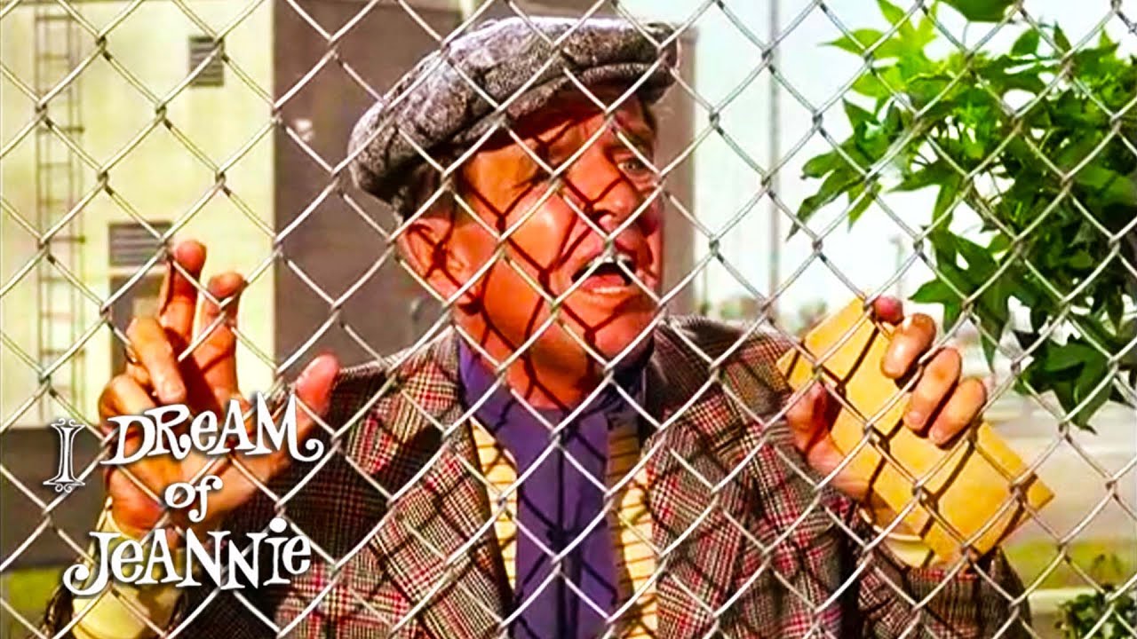Dr. Bellows Is Thrown Out Of NASA! | I Dream Of Jeannie