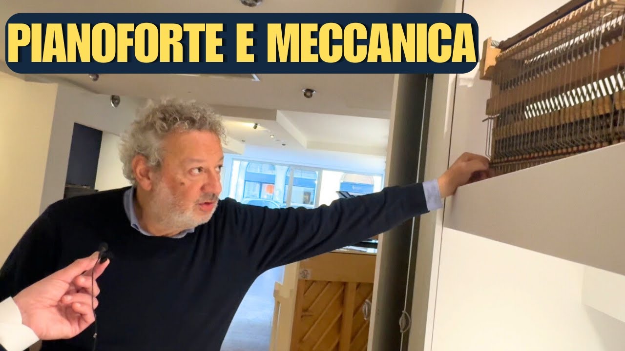 LA MECCANICA A BAIONETTA