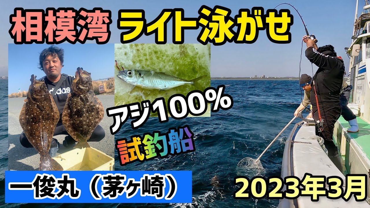 【相模湾ライト泳がせ①】 ヒラメ 餌がアジの場合 一俊丸 試釣船 2023年３月 #47