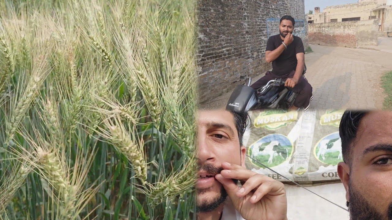 Baniya ke khet me gye or baniye ke sath kre maje