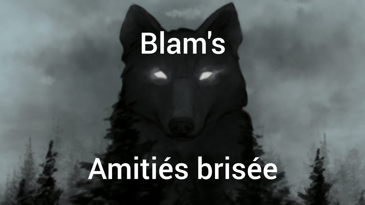 blam's amitié brisée.. ( @Blamsofficiel )