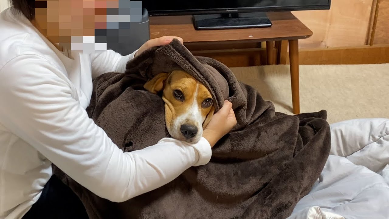 今年も賑やかな1年になりそうです