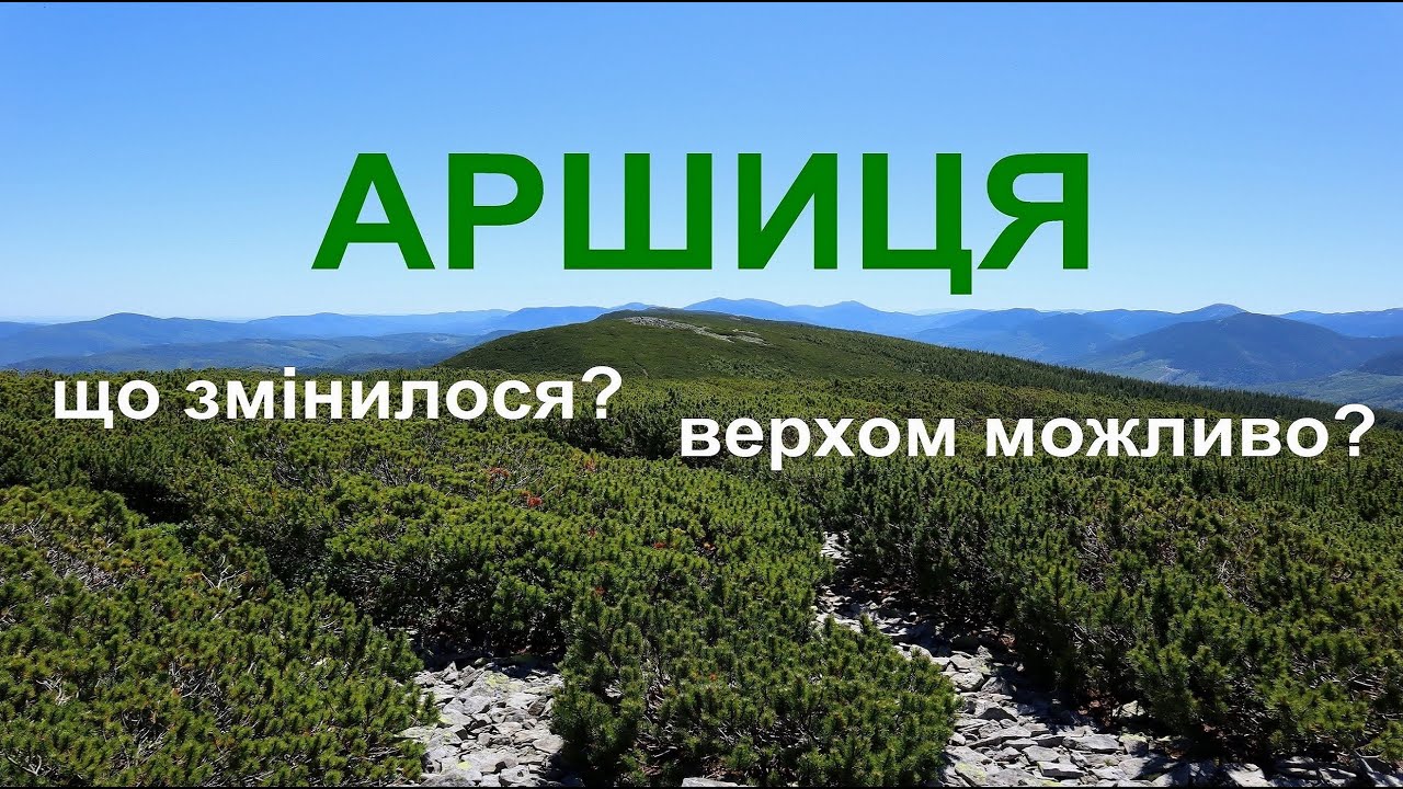 Аршиця. Чи можливо літом пройти верхом? Серйозні зміни за останні 2 роки. Нетуристичні нетрі Карпат