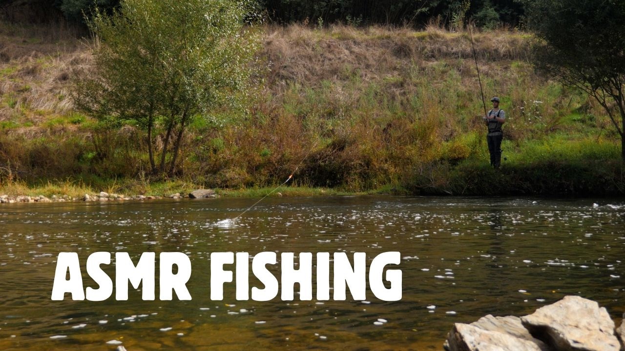 Float fishing for barbel on a sunny afternoon.