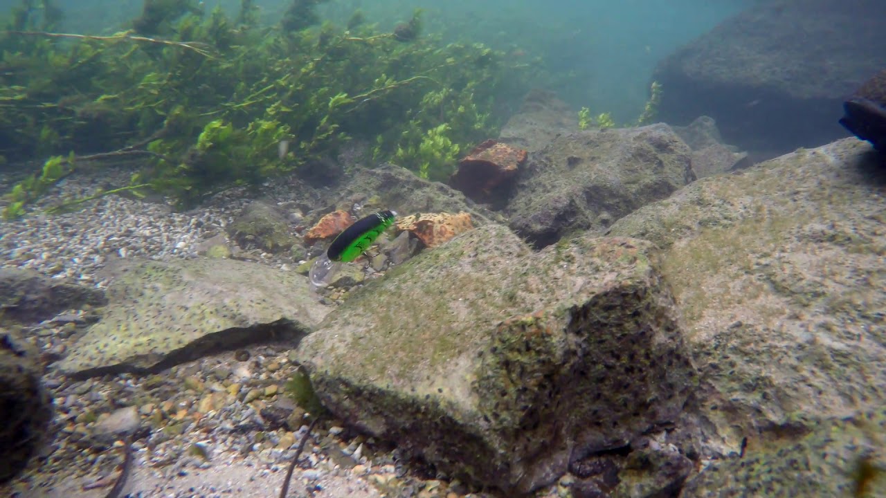 SPRO Fishing Videos