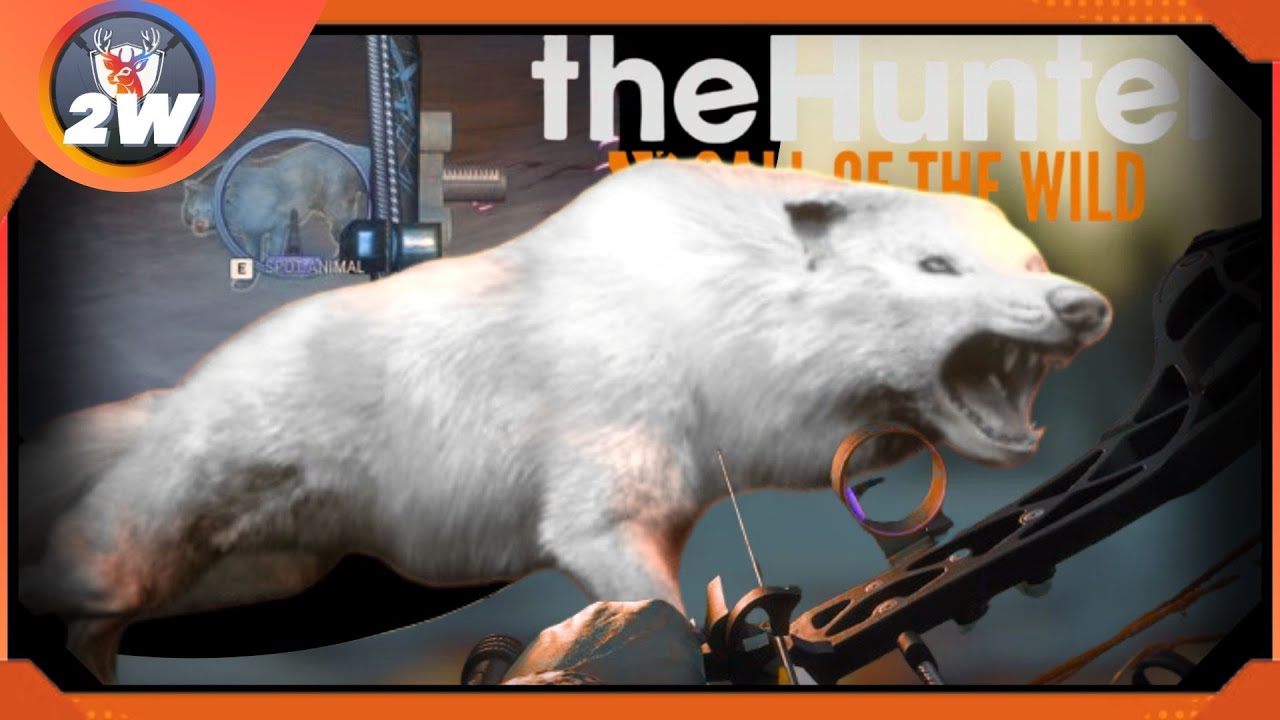 ATTACKED by ALBINO Wolf! + How to Grind on Alberta map! | theHunter: Call of the Wild