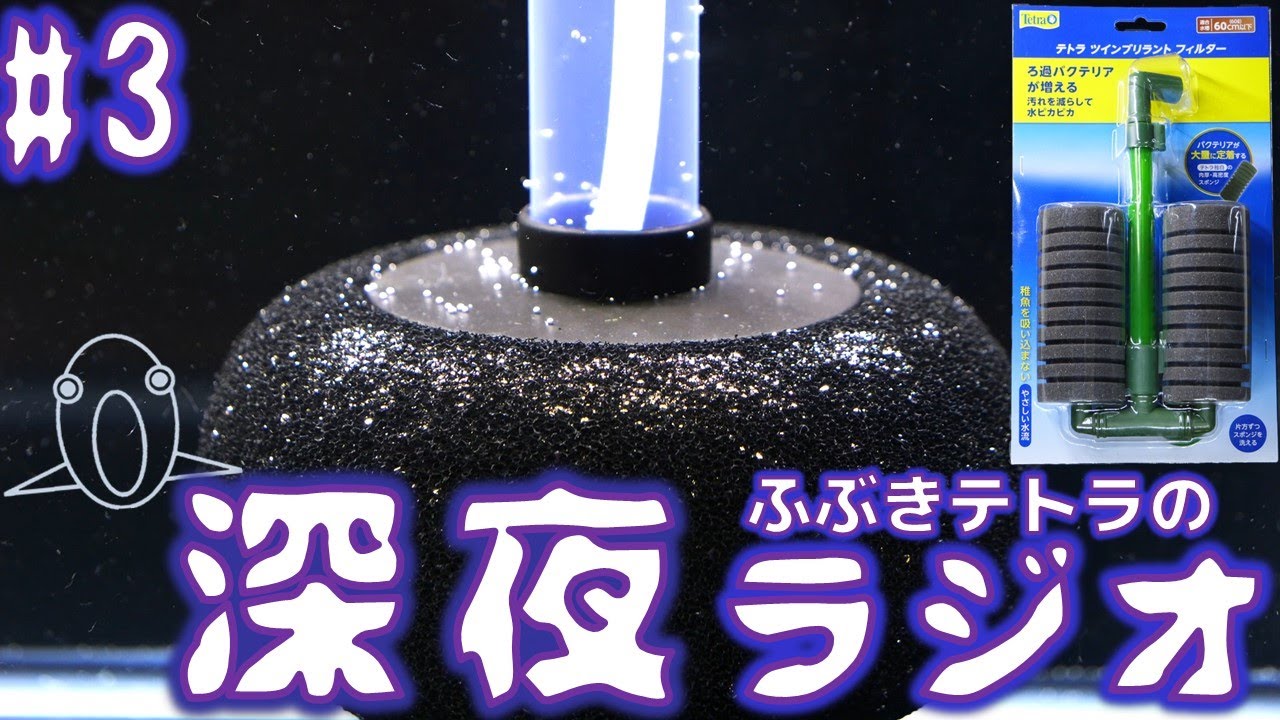 深夜のふぶきテトラのラジオ3回目。仮に苔が生えにくい環境を構築できれば、テトラのスポンジフィルターが最強な理由【ふぶきテトラ】