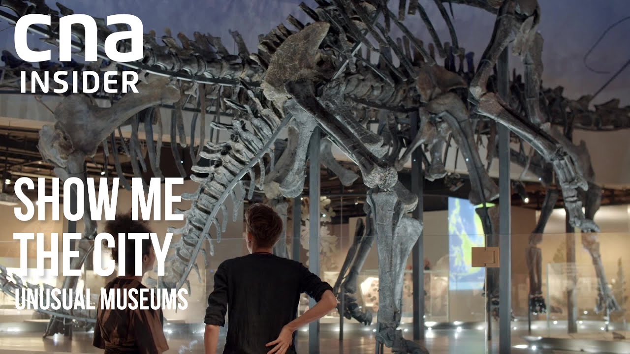 Unusual Museums Of Singapore | Show Me The City | Full Episode