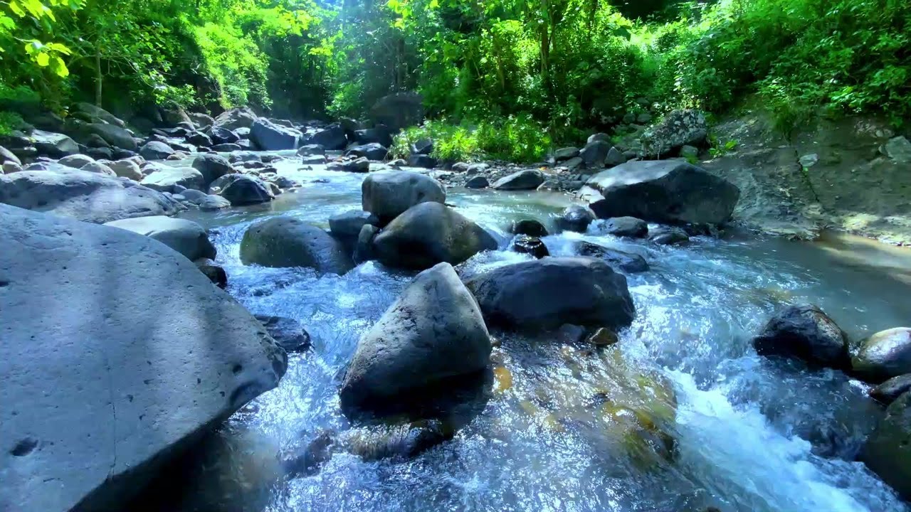 Natural Water Ambience for Deep Relaxation